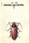 Химия и жизнь №05/1994 — обложка книги.